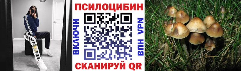 Галлюциногенные грибы Cubensis  наркотики  гидра маркетплейс  Вичуга 